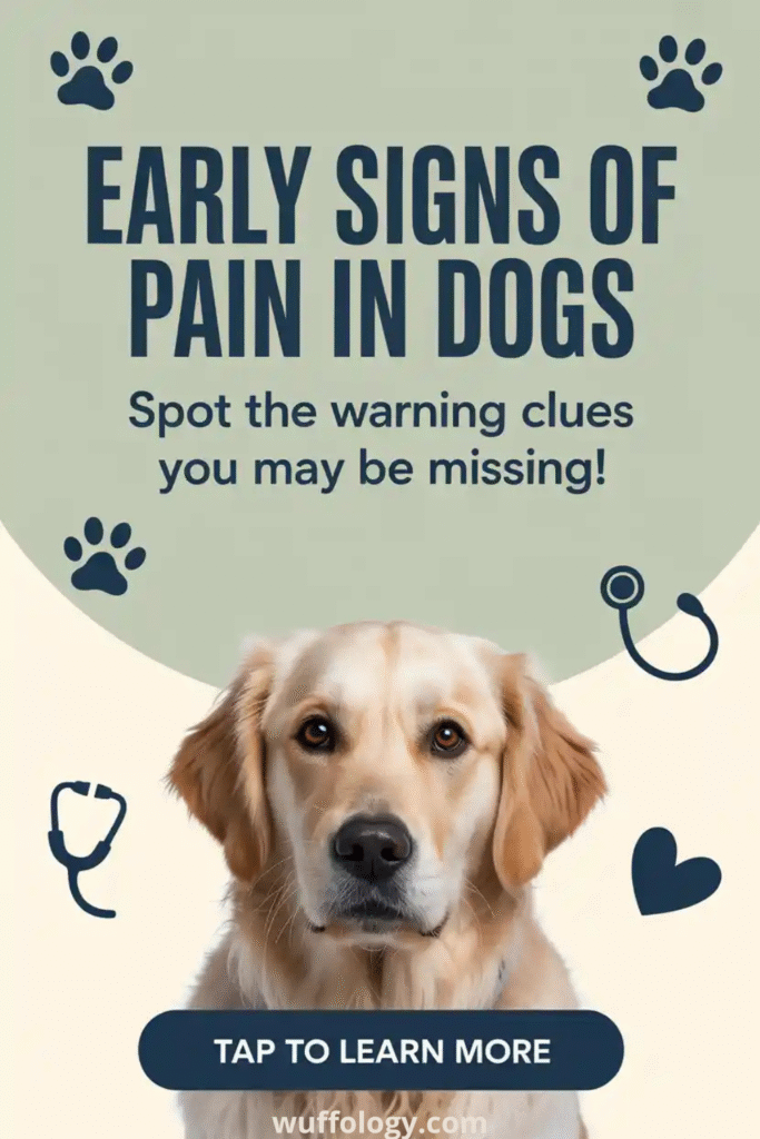Golden Retriever looking up with a concerned expression on a soft green and cream background. The text reads ‘Early Signs of Pain in Dogs — Spot the warning clues you may be missing!’ with small paw prints, stethoscope graphics, and a ‘Tap to Learn More’ button.