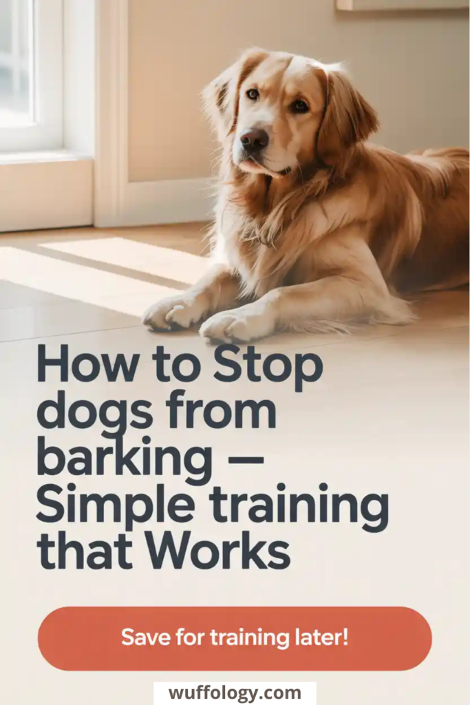 Calm golden-colored dog lying on a sunlit floor indoors, looking toward the camera. Large text on the image reads ‘How to Stop Dogs From Barking – Simple training that Works’ with a call-to-action button saying ‘Save for training later!’ and the website name wuffology.com at the bottom