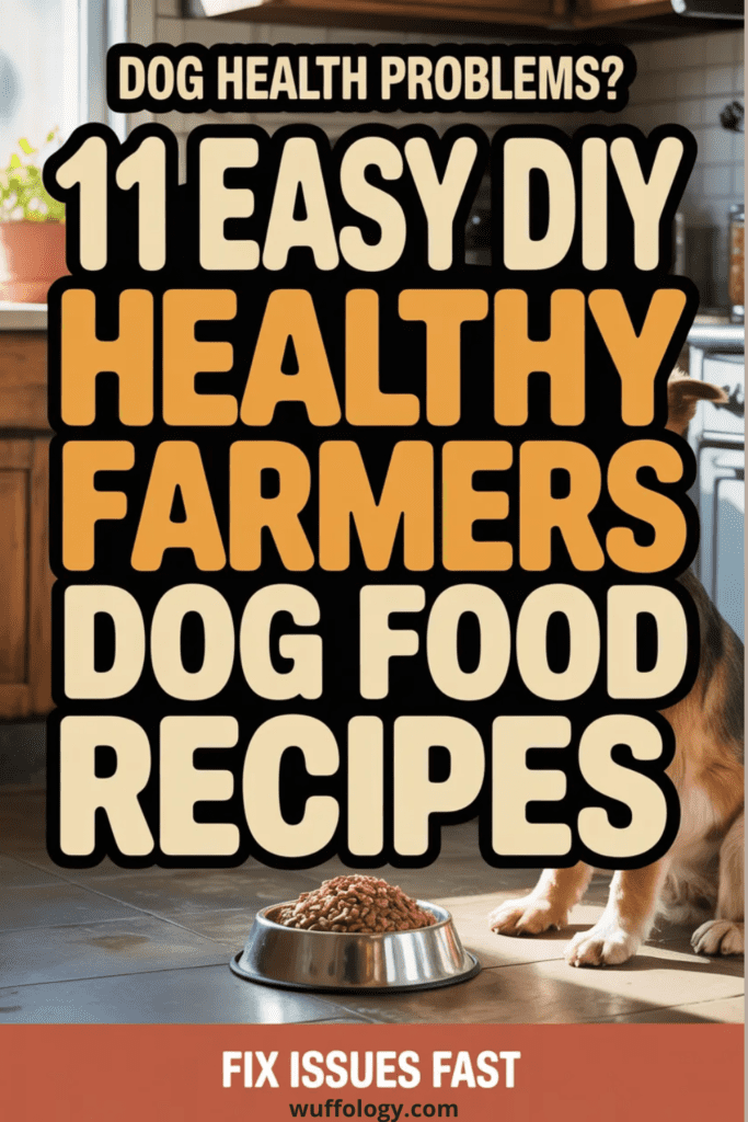 11 Easy Diy Healthy Farmers Dog Food Recipes That Fix Common Dog Health Issues