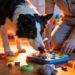 12 Brain Games for Dogs That Instantly Boost Focus and Beat Boredom