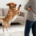 how to stop dog from jumping on people?