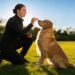 15 Fun Dog Training Tricks Your Dog Will Love Learning