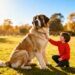 Big Dogs That Are Total Gentle Giants (Perfect for Families!)
