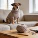 Easy Crochet Dog Sweater Free Pattern That Even Beginners Can Make Today Fast and Cute
