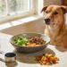 How Much Food Should I Feed My Dog Daily? a Stress-Free Feeding Guide for Busy Owners