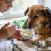 What to Give a Sick Dog Naturally (Safe Home Remedies Every Owner Should Know)
