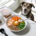 What to Cook for My Dog Daily Without Spending Hours in the Kitchen?