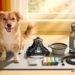 Dog Essentials List: the Must-Haves That Make Life with Your Dog 10x Easier