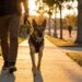How to Socialize a Reactive Dog Without Stress - a Calm, Step-by-Step Method That Actually Works