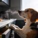 17 Beagle Dog Facts That Prove They’Re Smarter (and Sneakier) Than You Think
