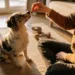 9 Genius Ways to Bond with Your New Dog Before the First Month Ends