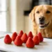 Can Dogs Eat Strawberries: 9 Sweet Feeding Rules to Protect Your Pup Fast