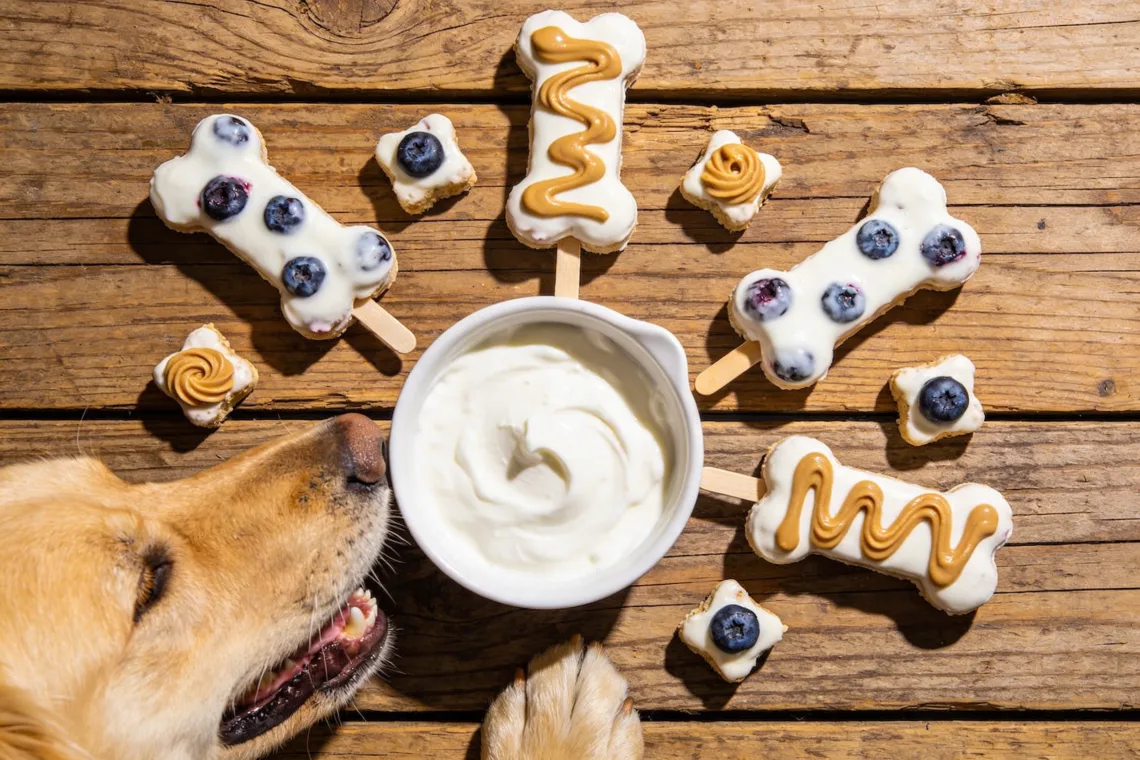9 Surprisingly Easy Homemade Dog Treats with Greek Yogurt for Busy Owners