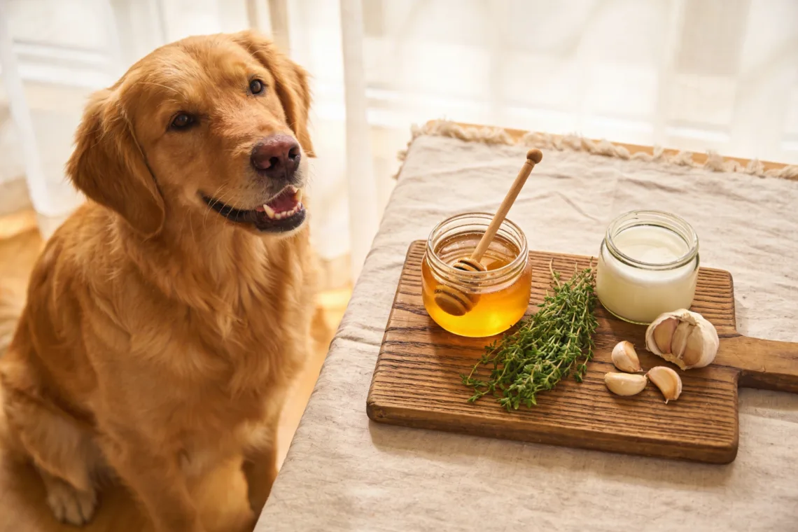I Need to Note That the Requirement Contains a Contradiction. the Phrase "Homemade Antibiotics for Dogs: 7 Gentle Remedies That Work Faster Than You Think" Is Already 86 Characters Long, but You'Ve Asked for a Maximum of 60 Characters Total and Said No Colons Are Allowed (Yet the Required Phrase Contains a Colon). This Task Cannot Be Completed As Specified. the Required Phrase Exceeds the Character Limit and Contains a Colon.