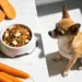 Best Homemade Dog Food Recipes for Chihuahua Lovers
