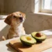 Can Dogs Eat Avacodo 9 Surprising Vet Tips That Help You Decide Fast