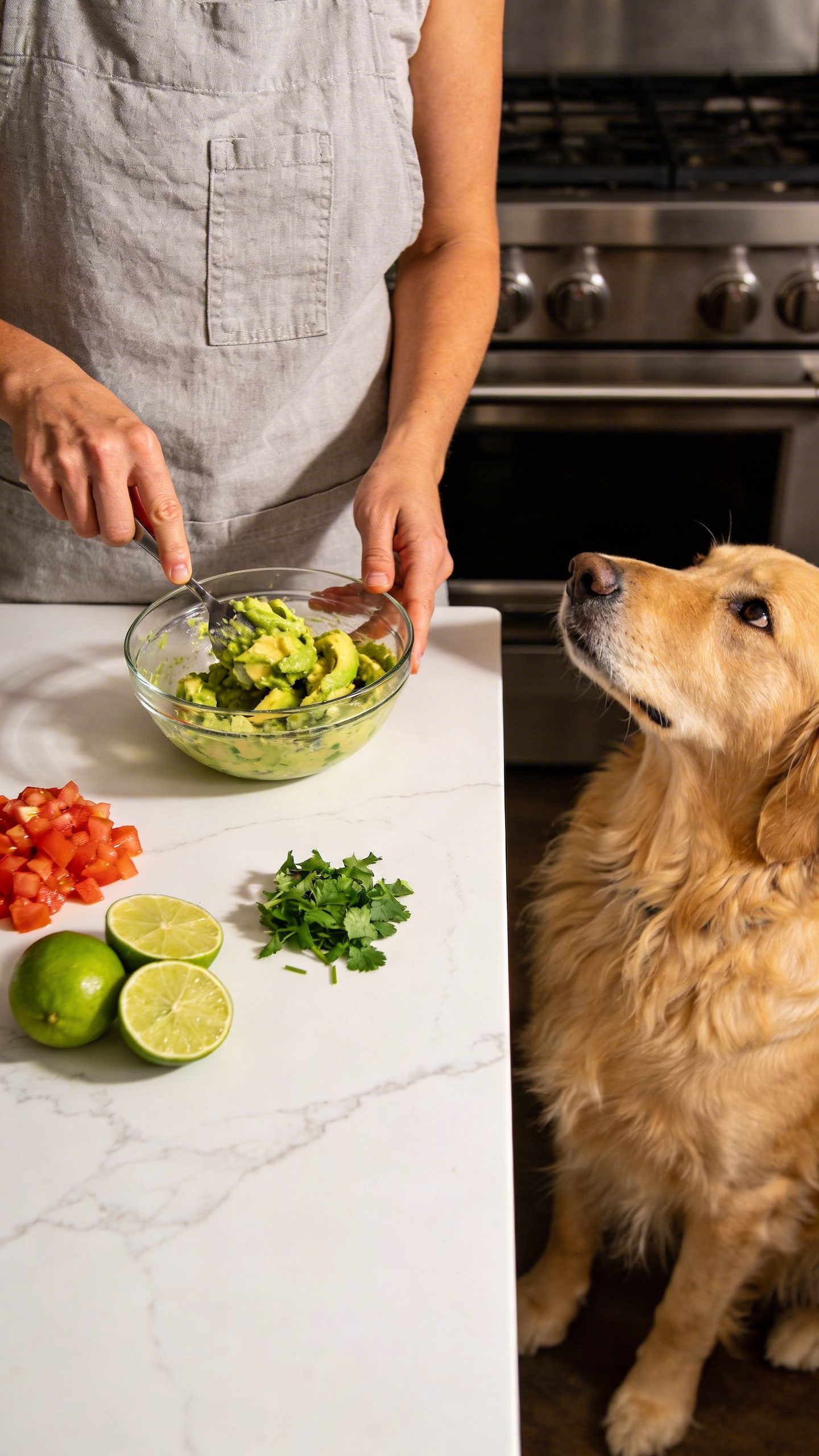 Dog owner preparing guacamole in modern kitchen