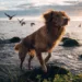 Nova Scotia Duck Tolling Retriever 101: 10 Must-Know Facts Unleashed