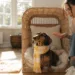 House Training Dachshund: 7 Genius Fixes That Work in Just 3 Days—Fast Results
