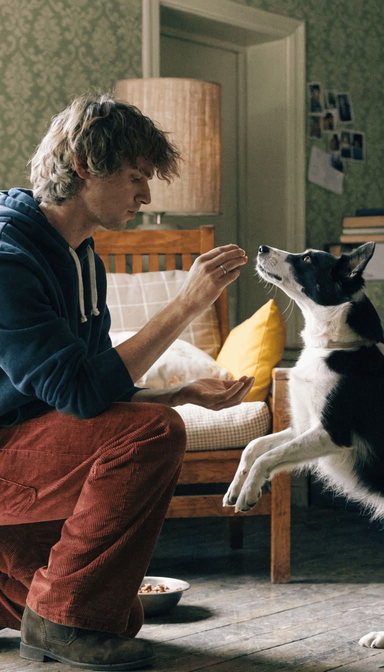 "focused training session with dog and treat rewards"