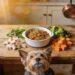 7 Heartwarming Homemade Dog Food Recipes for Small Senior Dogs Ready in 20 Minutes