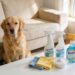 How to Clean Dog Pee Smell Out of Couch: 5 Genius Fixes