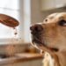 Can Dogs Have Cinnamon or Is It Dangerous? What Vets Actually Say
