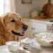Diy Dog Toothpaste for Bad Breath: the 3-Ingredient Trick That Freshens Dog Breath Fast