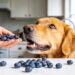 Can Dogs Eat Blueberries? 7 Surprising Benefits Every Dog Owner Should Know Today