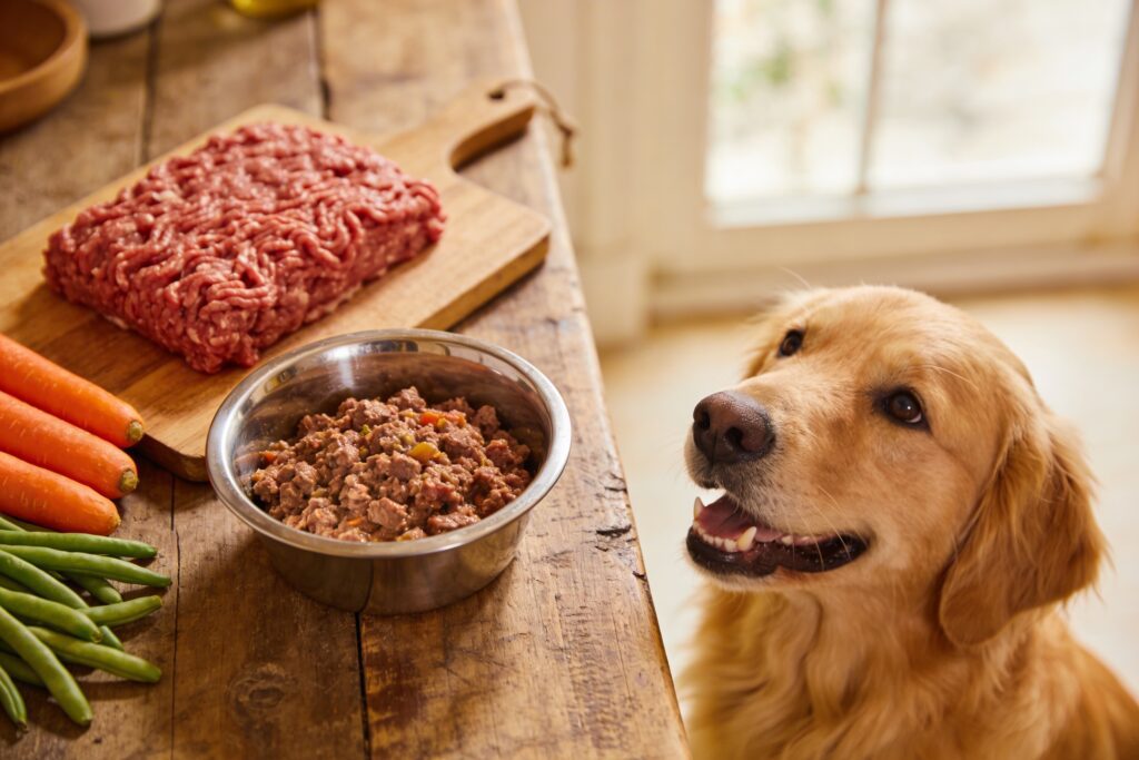 Farmers Dog Copycat Recipe Beef: 7 Heartwarming Ideas in Under 30 Minutes Your Pup Will Devour