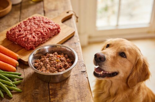 Farmers Dog Copycat Recipe Beef: 7 Heartwarming Ideas in Under 30 Minutes Your Pup Will Devour
