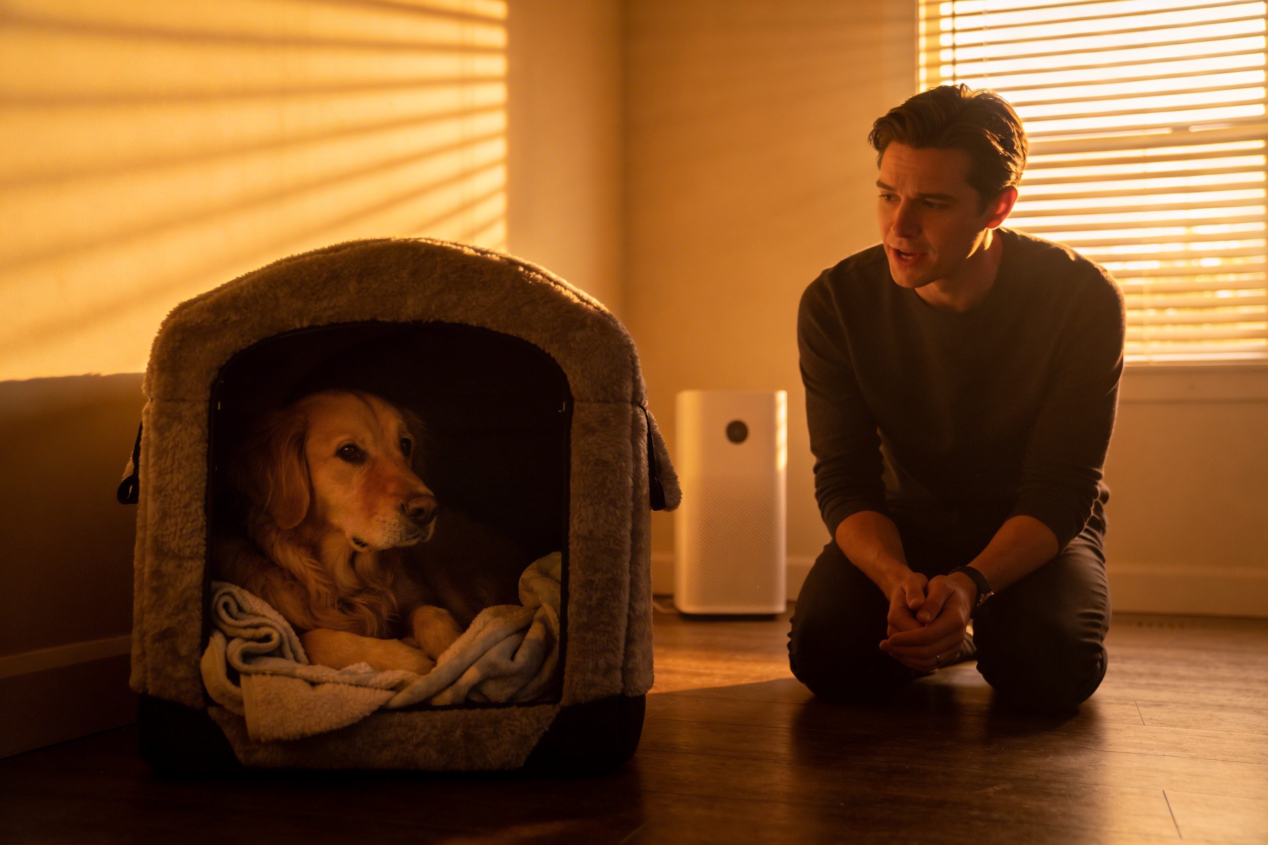 How to Calm Down Dogs During Fireworks: 9 Fast-Acting Tricks That Actually Work