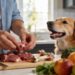 Raw Dog Diet for Beginners: the Simple Feeding Plan Most Owners Wish They Knew Sooner