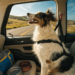 13 Lifesaving Tips to Travel with a Dog Safely Without Chaos in Hours: Quick Guide
