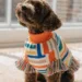 9 Adorable Diy No Sew Dog Clothes That Transform Old Clothes in Under 15 Minutes Unleashed