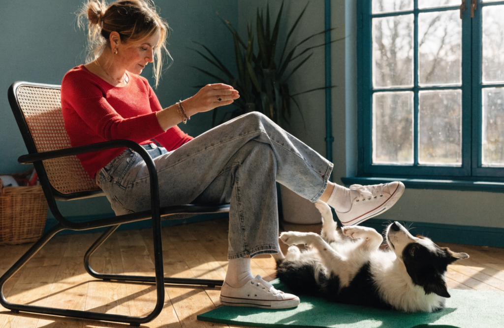 Step-by-Step: How to Train Your Dog to Roll Over Without Stress or Struggles