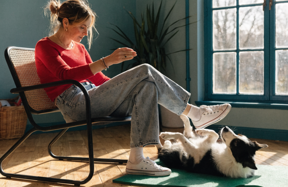 Step-by-Step: How to Train Your Dog to Roll Over Without Stress or Struggles