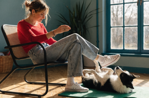 Step-by-Step: How to Train Your Dog to Roll Over Without Stress or Struggles