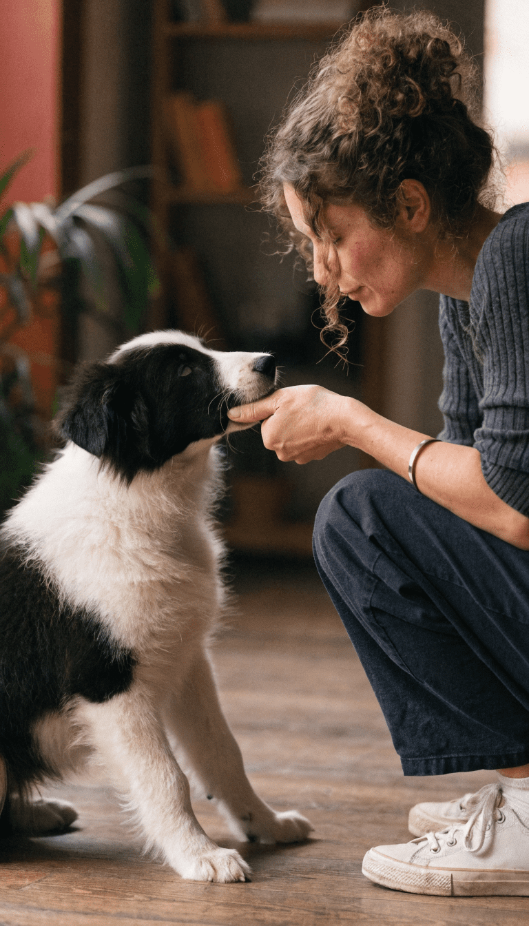 "Puppy gently nibbling finger with calm trainer"