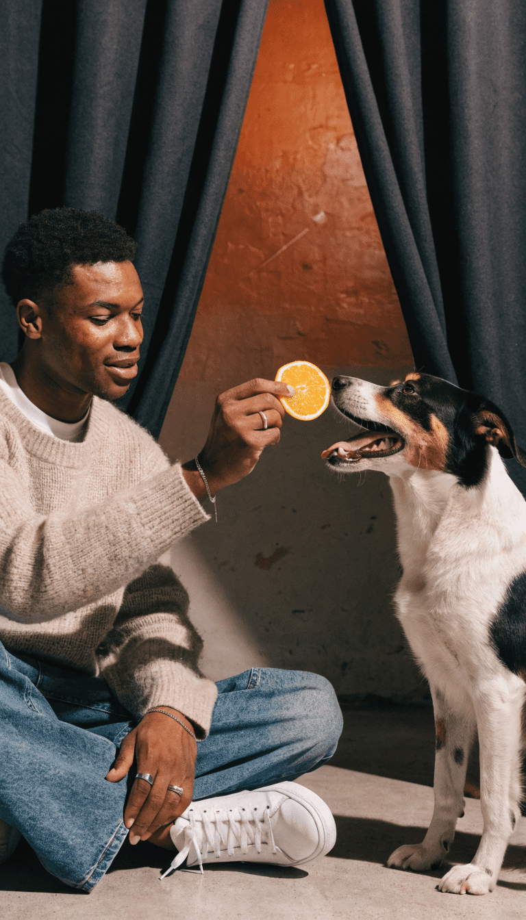 "trainer rewarding dog with orange slice in studio"