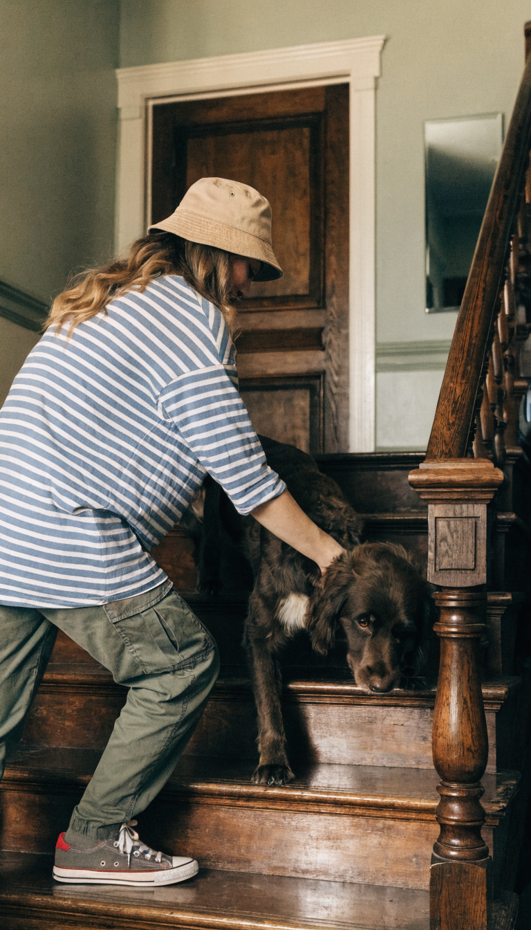 "caregiver aiding dog up stairs, soft light"