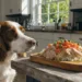 What I Feed My Dog Every Morning: 5 Homemade Dog Food Breakfast Recipes