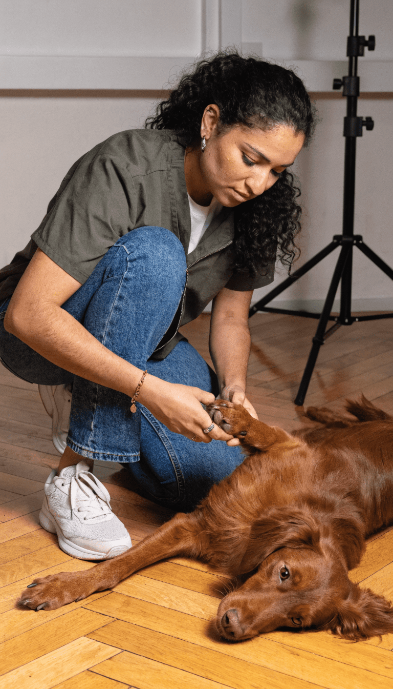 "Vet examining irritated paw, calm studio lighting"