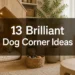 13 Brilliant Dog Corner Ideas for Small Spaces That Look Surprisingly Stylish