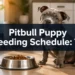 Pitbull Puppy Feeding Schedule: 7 Critical Feeding Mistakes That Can Slow Healthy Growth