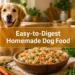11 Easy-to-Digest Homemade Dog Food Recipes Every Dog With Tummy Issues Needs