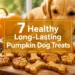 7 Healthy Long-Lasting Pumpkin Dog Treats That Dogs Can't Stop Chewing