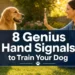 8 Genius Hand Signals to Train Your Dog Faster (Without Repeating Commands)