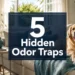 How to Keep Your House Smelling Good With a Dog: 5 Hidden Odor Traps (And The Effortless Fix)