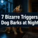 Why Do Dogs Bark at Night? 7 Bizarre Triggers (And How to Stop the Noise Instantly)